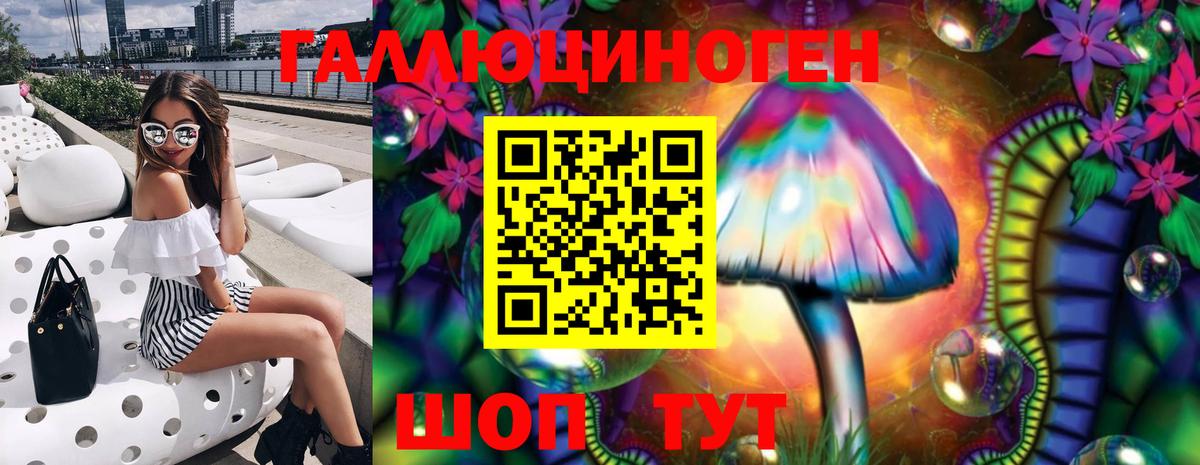 Вичуга  Псилоцибиновые грибы GOLDEN TEACHER  Вход с VPN  Псилоцибиновые грибы Magic Shrooms 